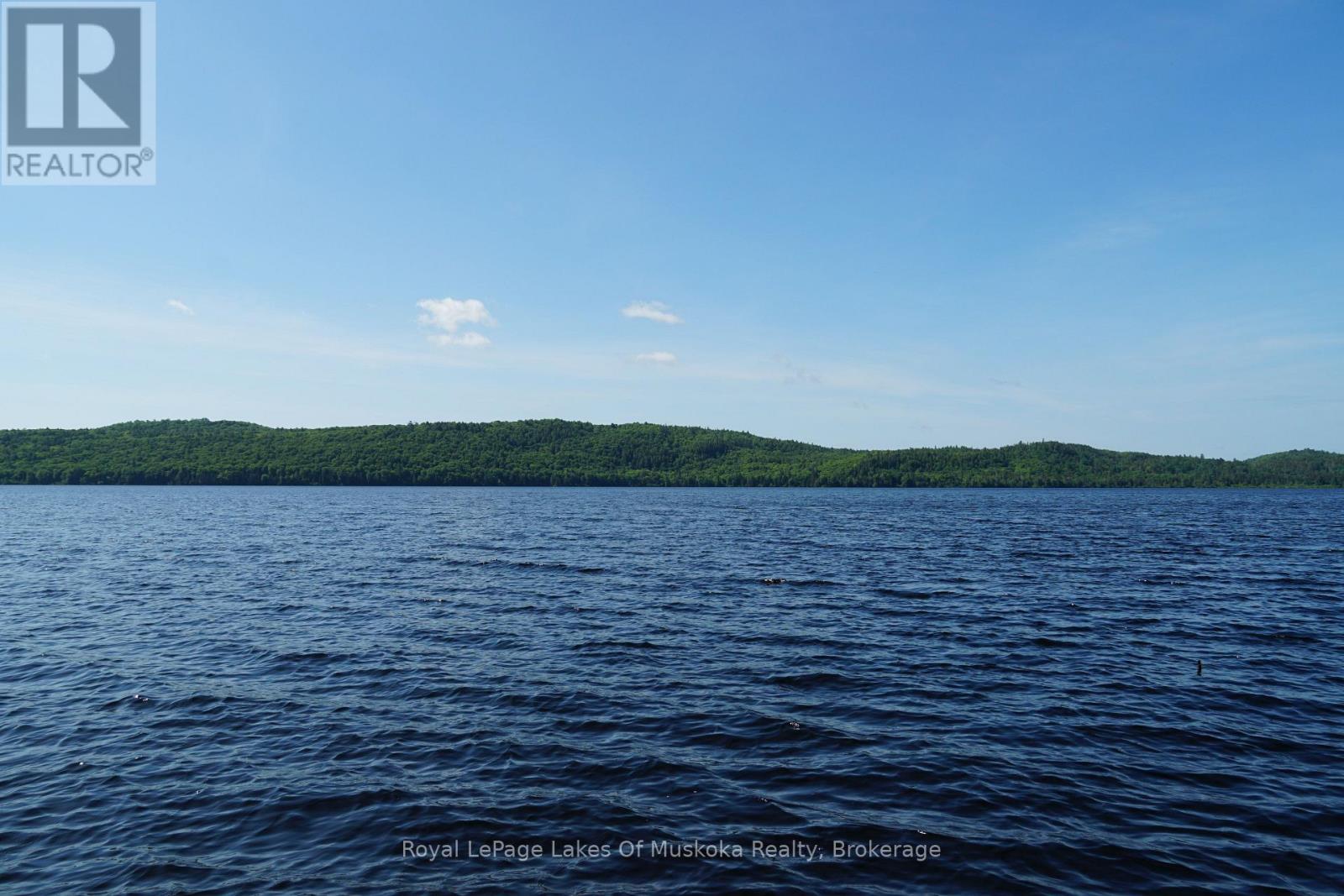 1173 Highway 60, South Algonquin, Ontario  P1H 2G9 - Photo 4 - X12950918