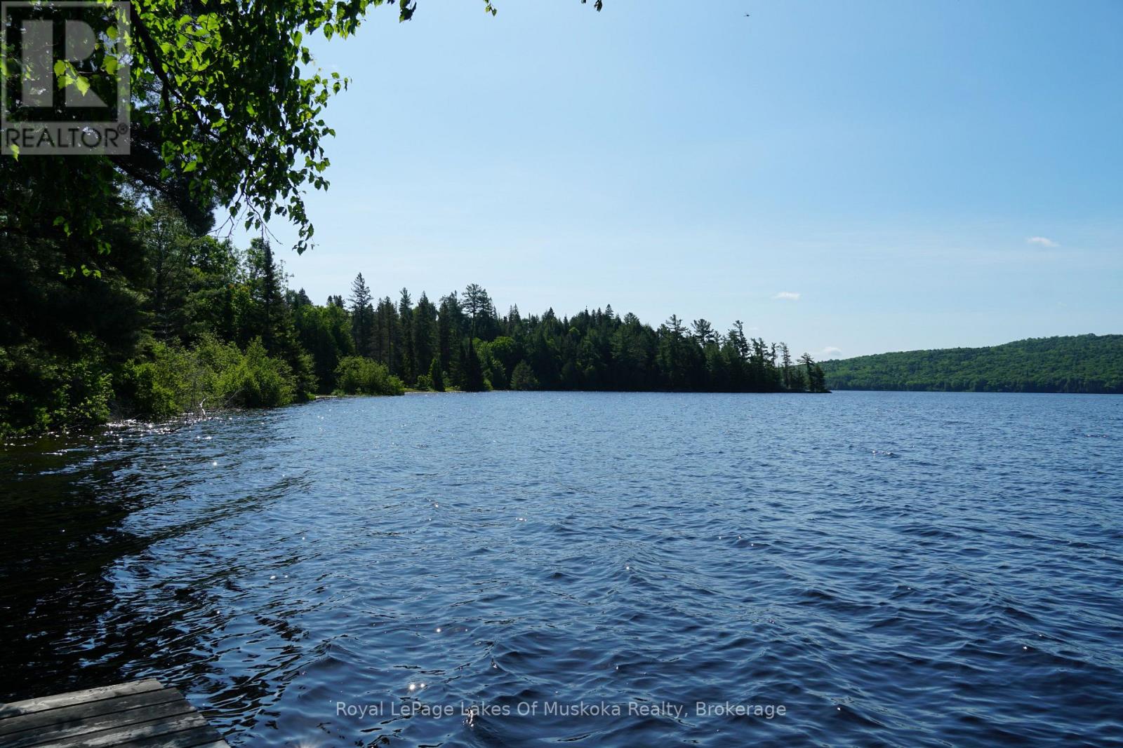 1173 Highway 60, South Algonquin, Ontario  P1H 2G9 - Photo 5 - X12950918