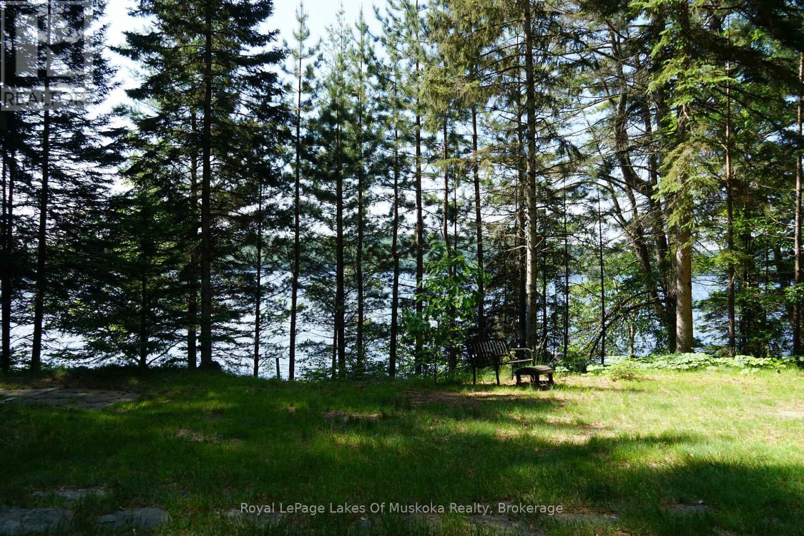1173 Highway 60, South Algonquin, Ontario  P1H 2G9 - Photo 9 - X12950918
