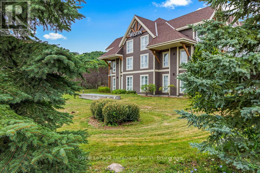313 - 220 Gord Canning Drive, Blue Mountains, Ontario  L9Y 0V2 - Photo 43 - X12964656