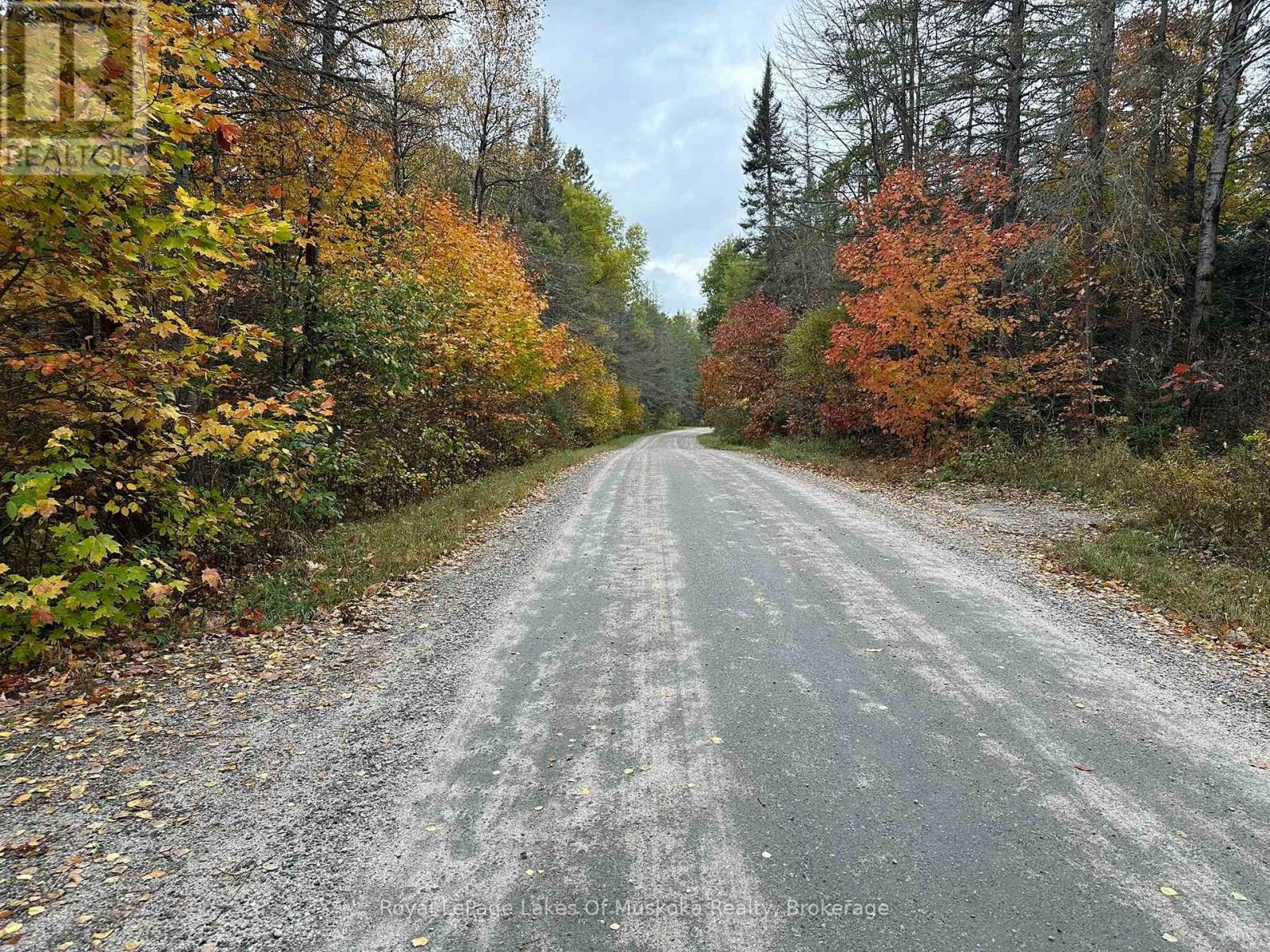 77 Grindstone Road, Magnetawan, Ontario  P0A 1Z0 - Photo 8 - X12969202