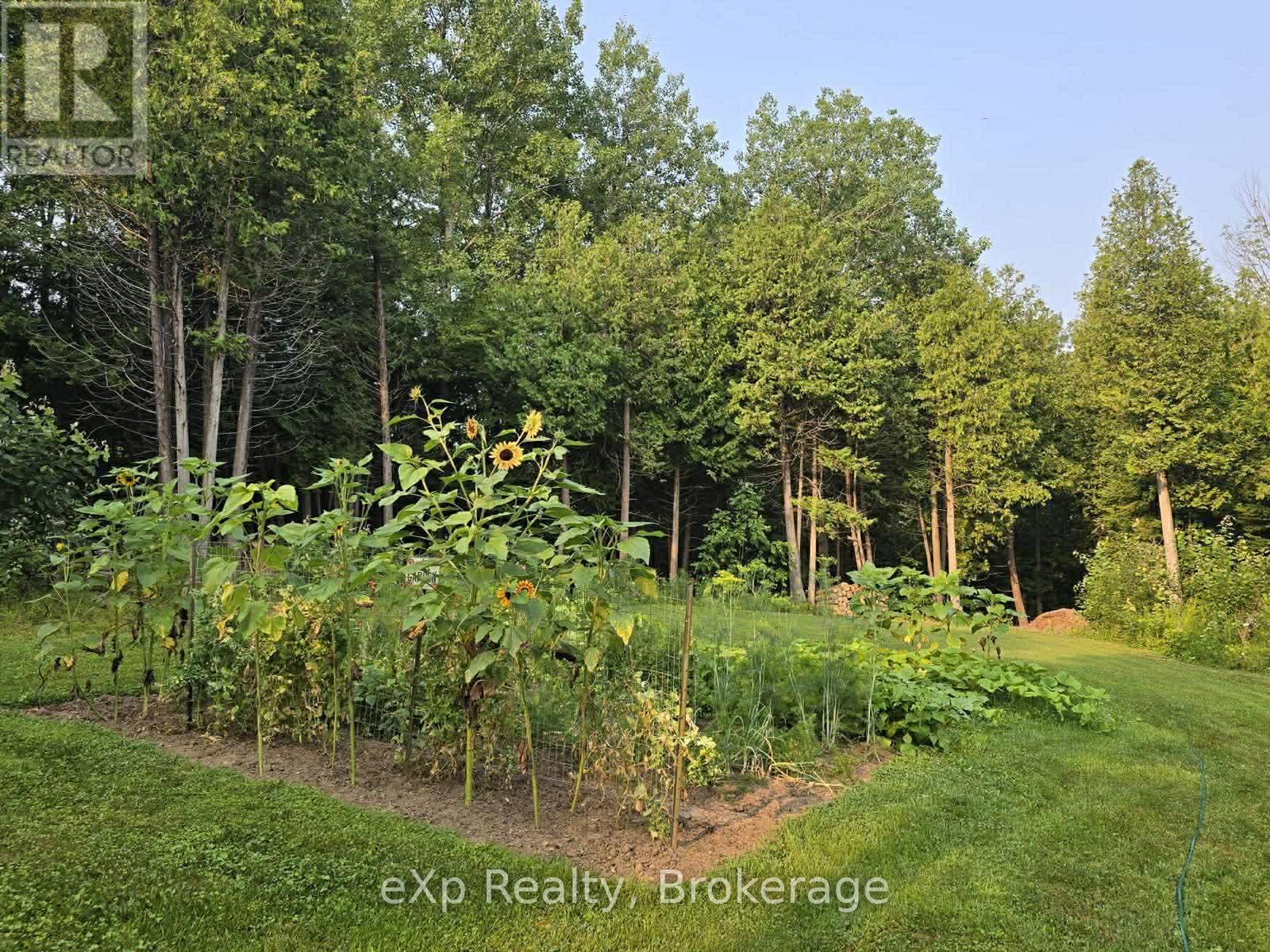 303709 South Line, West Grey, Ontario  N0C 1K0 - Photo 42 - X12985842