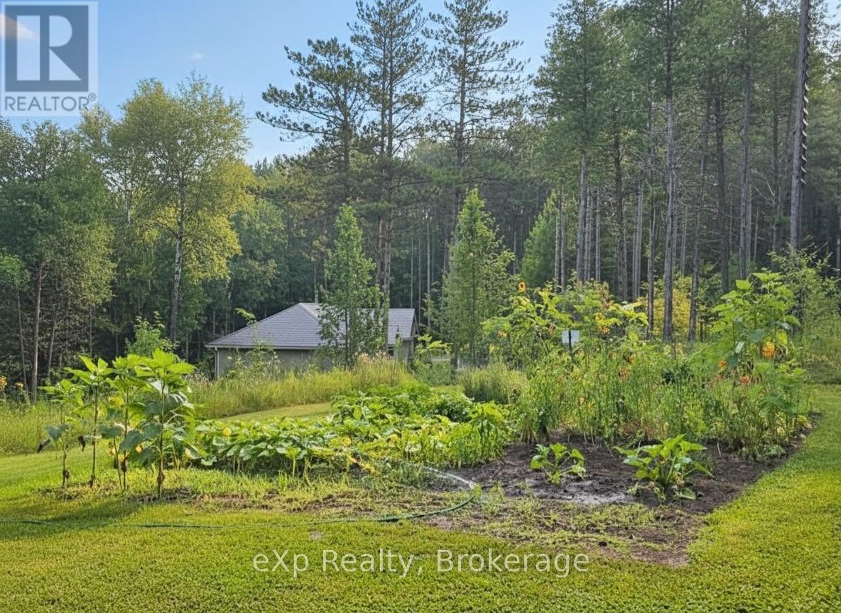 303709 South Line, West Grey, Ontario  N0C 1K0 - Photo 44 - X12985842