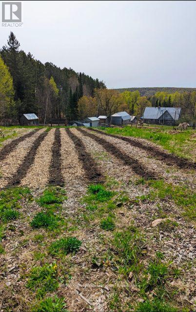 2481 North Shore Road, Algonquin Highlands, Ontario  K0M 1S0 - Photo 38 - X12995318