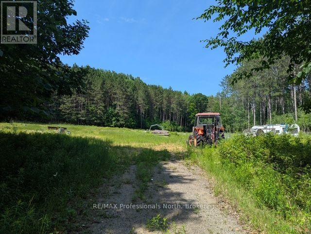 2481 North Shore Road, Algonquin Highlands, Ontario  K0M 1S0 - Photo 46 - X12995318