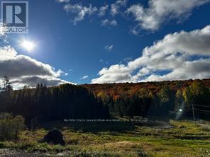 556 Highway 518 W, Perry, Ontario  P0A 1J0 - Photo 20 - X13004876