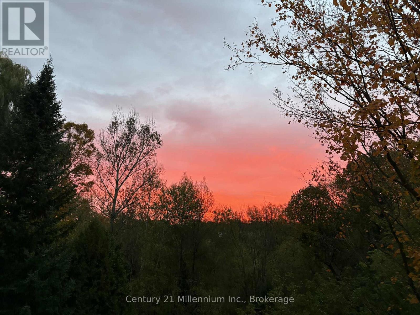 415877 Tenth Line, Blue Mountains, Ontario  N0H 1J0 - Photo 31 - X13005808