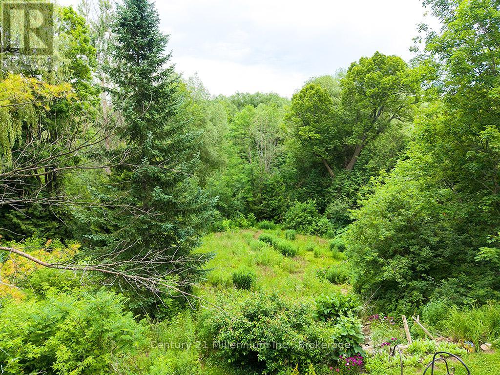 415877 Tenth Line, Blue Mountains, Ontario  N0H 1J0 - Photo 44 - X13005808