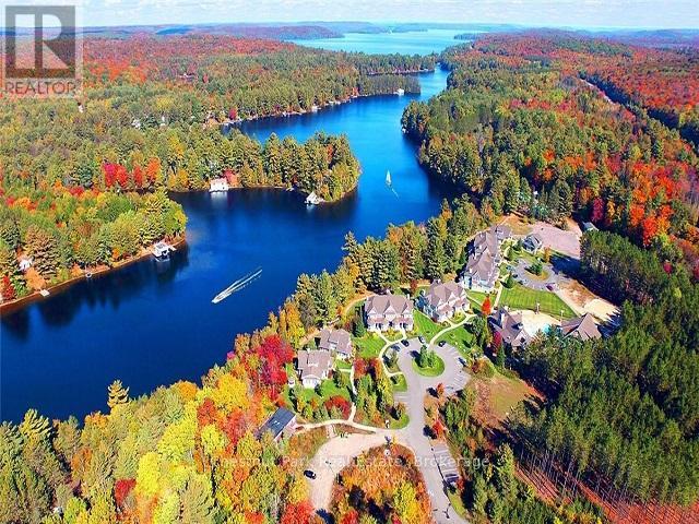9 - 2769 Muskoka 117 Road, Lake Of Bays, Ontario  P0B 1A0 - Photo 3 - X13021792
