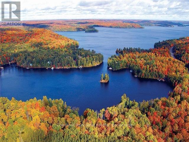 12 Intervals - 1020 Birch Glen Road, Lake Of Bays, Ontario  P0B 1A0 - Photo 11 - X13021834