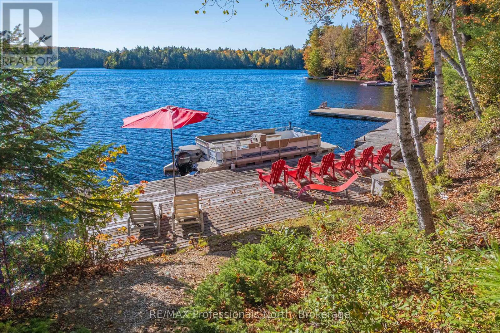 3 - 2901 Limberlost Road, Lake Of Bays, Ontario  P1H 2J6 - Photo 4 - X13035980