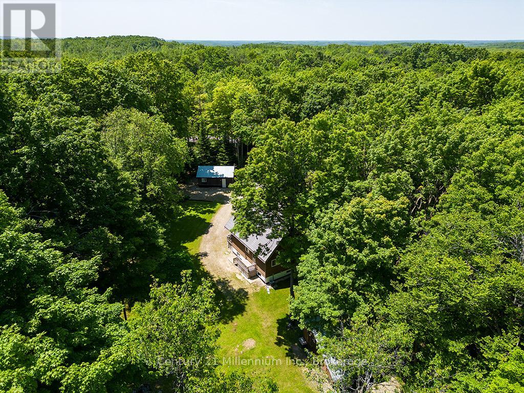 495115 Grey 2 Road, Blue Mountains, Ontario  N0H 2E0 - Photo 46 - X13069086