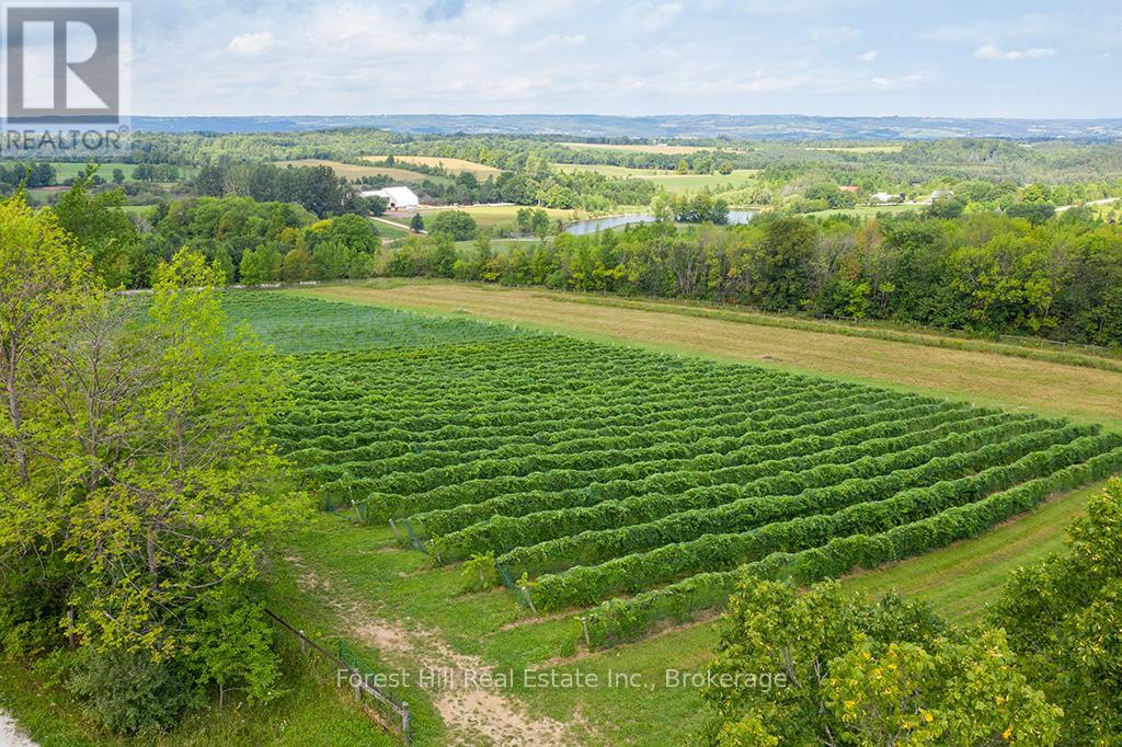 415763 10th Line, Blue Mountains, Ontario  N0H 1J0 - Photo 10 - X13072736