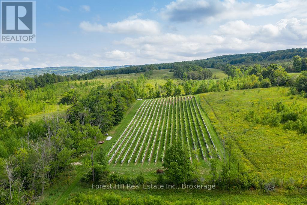 415763 10th Line, Blue Mountains, Ontario  N0H 1J0 - Photo 12 - X13072736