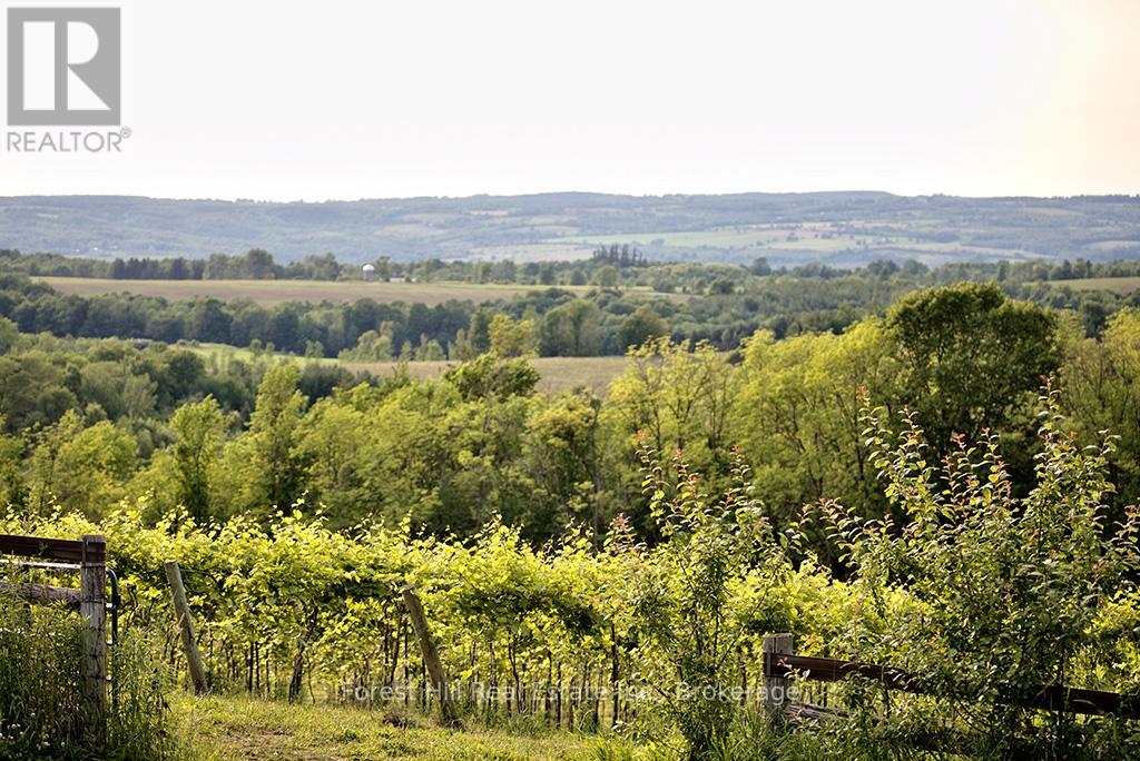415763 10th Line, Blue Mountains, Ontario  N0H 1J0 - Photo 13 - X13072736
