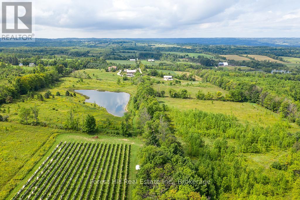 415763 10th Line, Blue Mountains, Ontario  N0H 1J0 - Photo 8 - X13072736