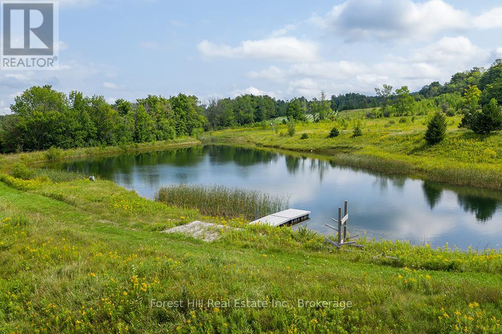 415763 10th Line, Blue Mountains, Ontario  N0H 1J0 - Photo 9 - X13072736