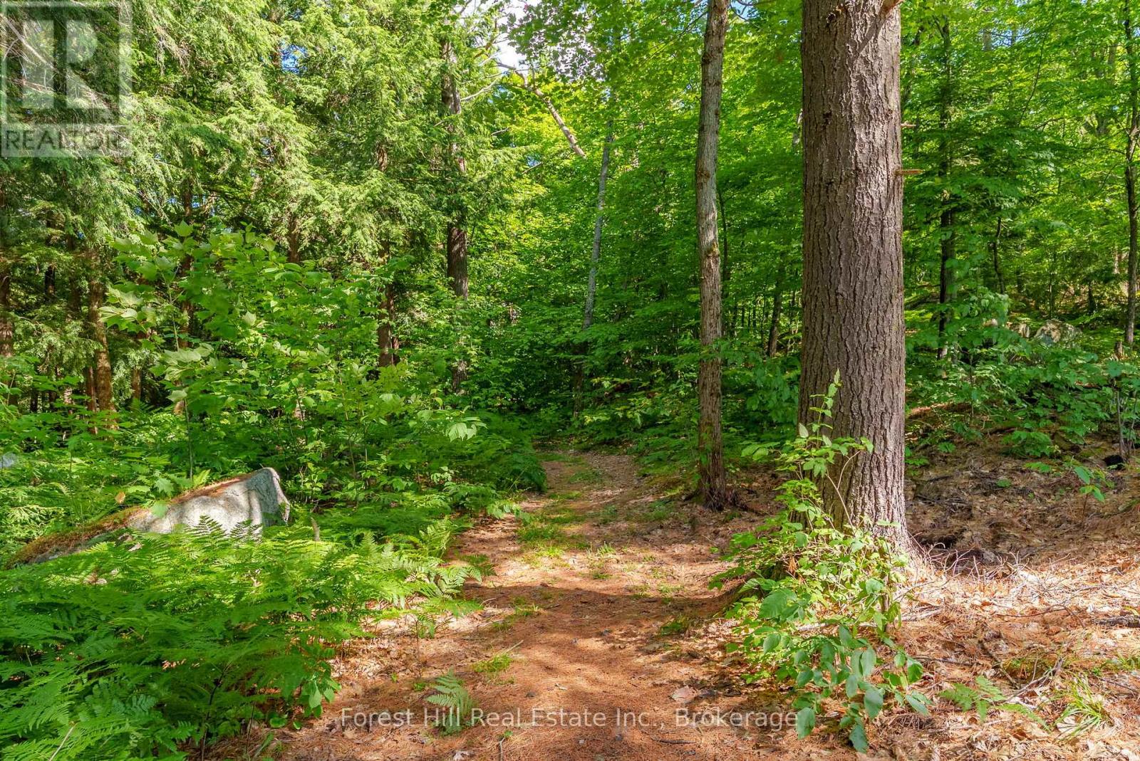 1 Sl 19 Roberts Island, Muskoka Lakes, Ontario  P0B 1M0 - Photo 31 - X13074504