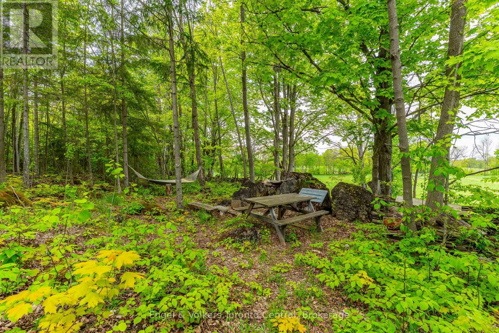 215588 Concession 4, Chatsworth, Ontario  N0H 2V0 - Photo 47 - X13083238