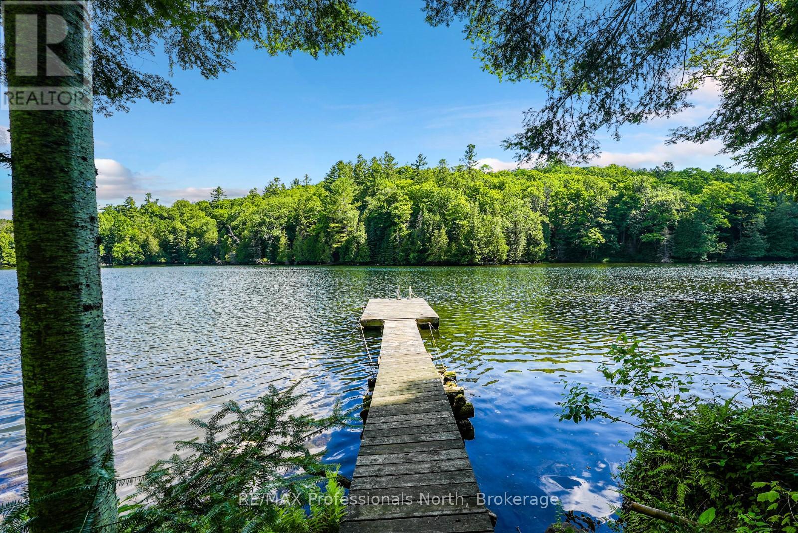 Lot 104 Precipice Road, Dysart Et Al, Ontario  K0M 1S0 - Photo 19 - X13084234