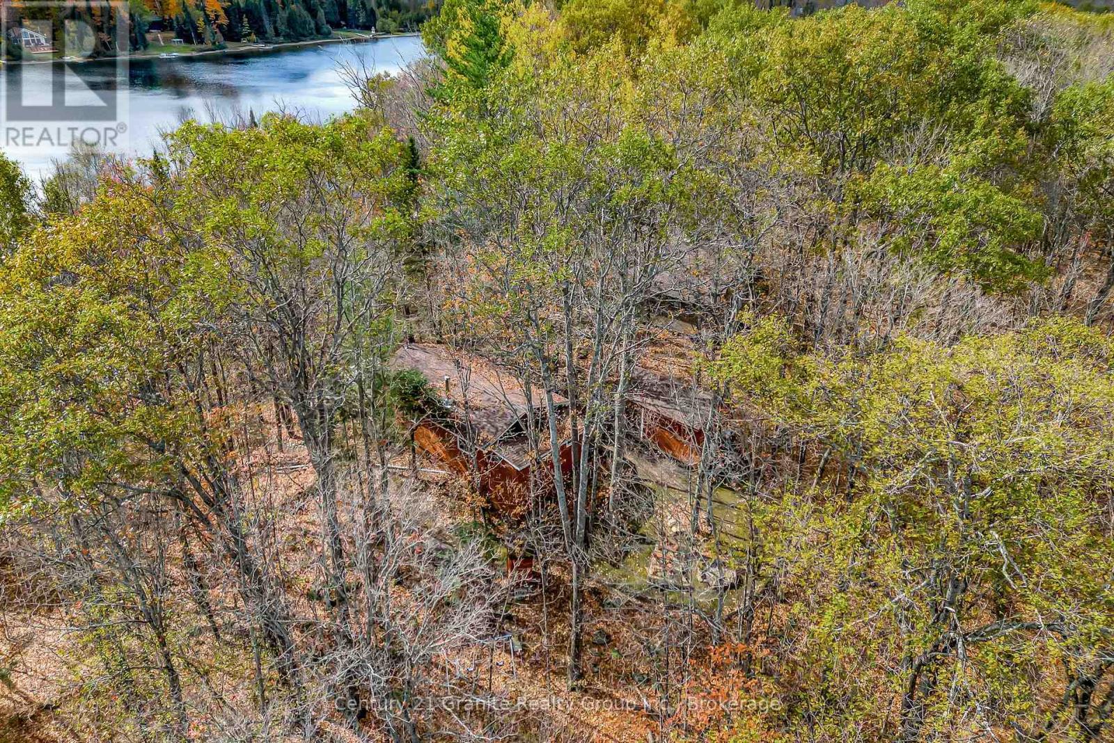 1081 Cinnamon Lane, Minden Hills, Ontario  K0M 2K0 - Photo 6 - X13086212