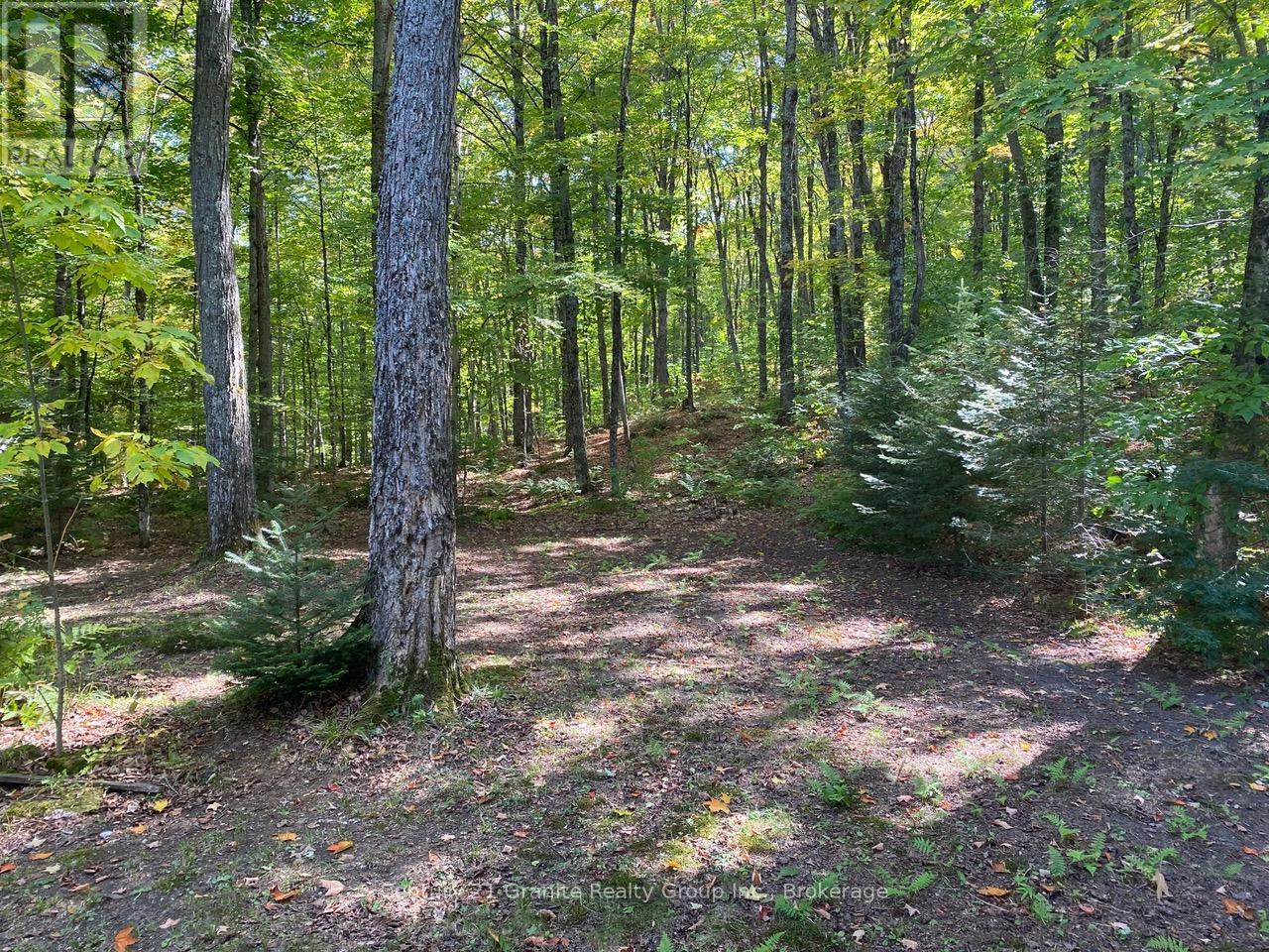 1052 Kensington Road, Dysart Et Al, Ontario  K0M 1S0 - Photo 28 - X13088616