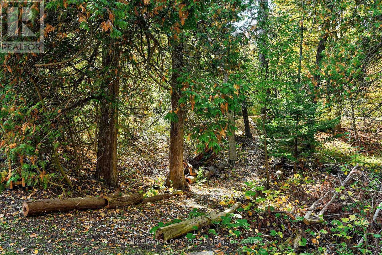 208554 26 Highway, Blue Mountains, Ontario  N0H 1J0 - Photo 39 - X13095636