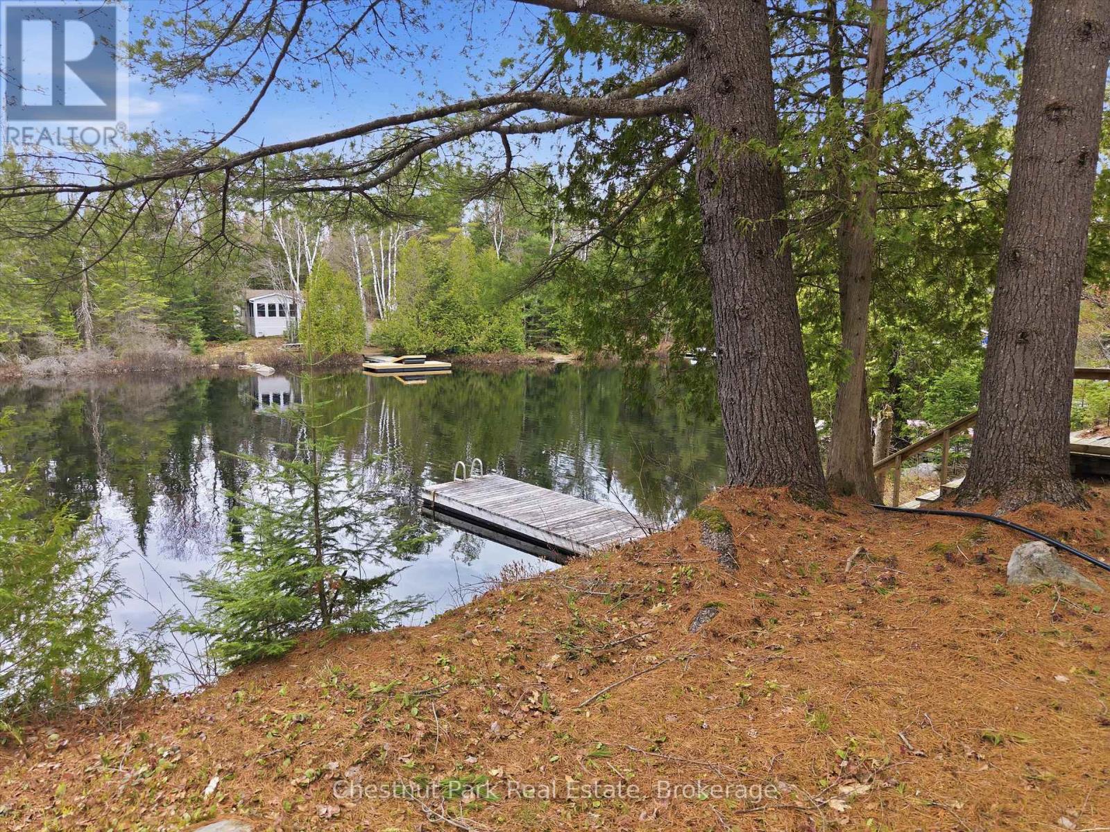 1299 Dickie Lake Road, Lake Of Bays, Ontario  P0B 1A0 - Photo 28 - X13097658