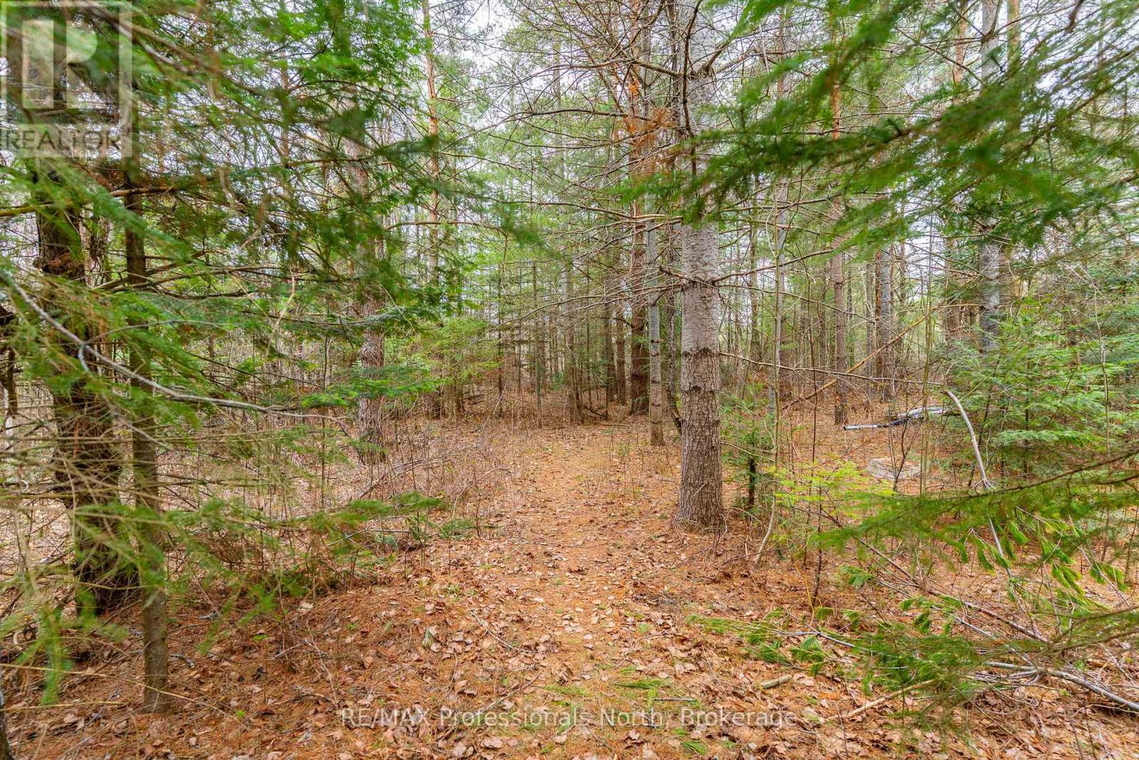 2195 Loop Road, Highlands East, Ontario  K0L 3C0 - Photo 41 - X13099490