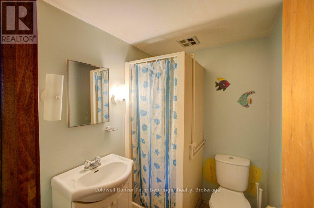 253 2nd Concession, Arran-Elderslie, Ontario  N0H 1L0 - Photo 28 - X13099768