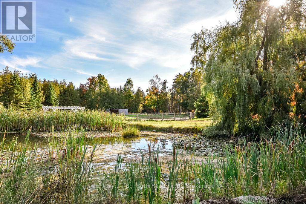 465 Ridge Road E, Oro-Medonte, Ontario  L0L 2E0 - Photo 41 - S13100756