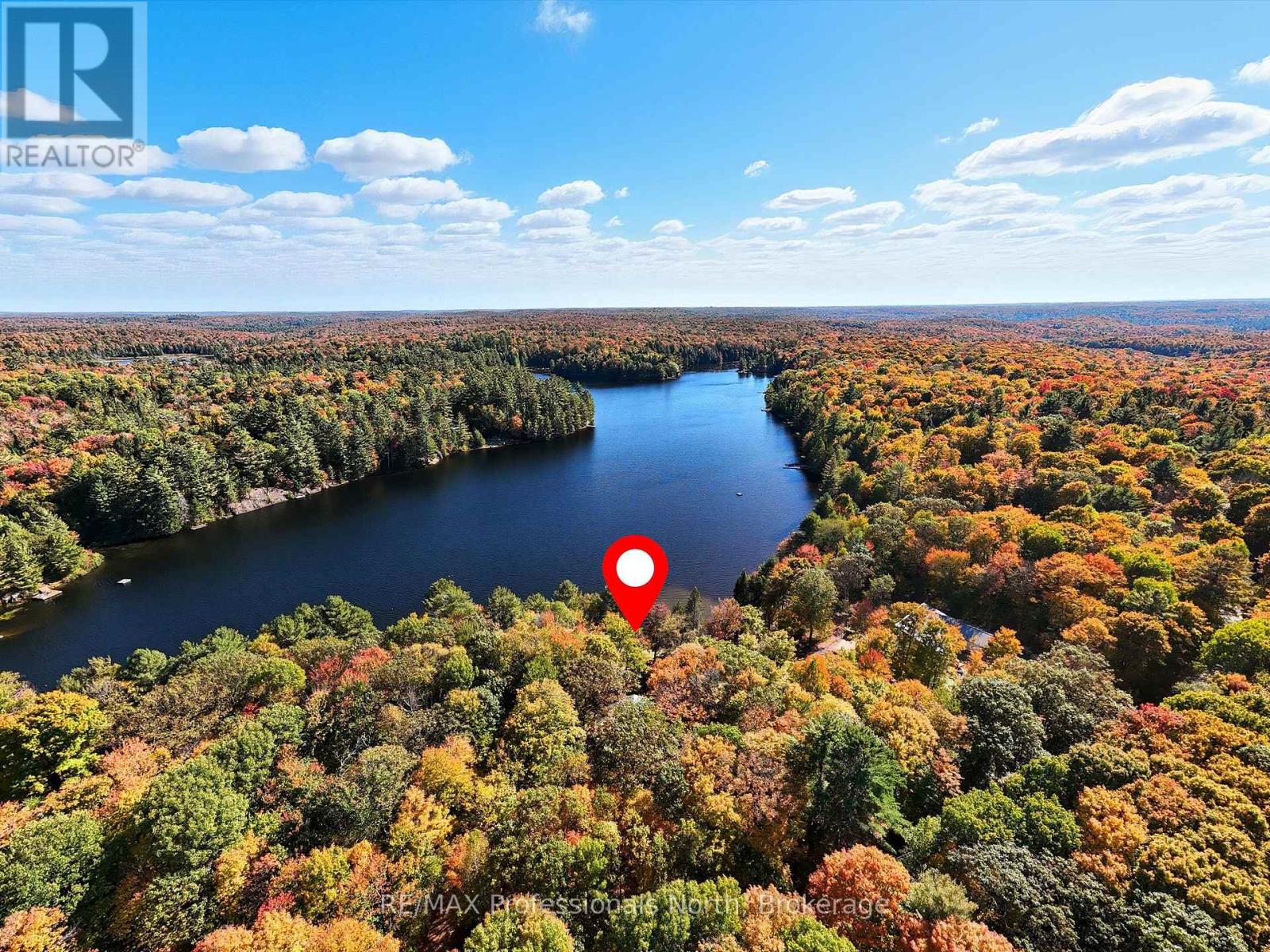 293 Otter Lake Road, Huntsville, Ontario  P1H 2J3 - Photo 3 - X13108660