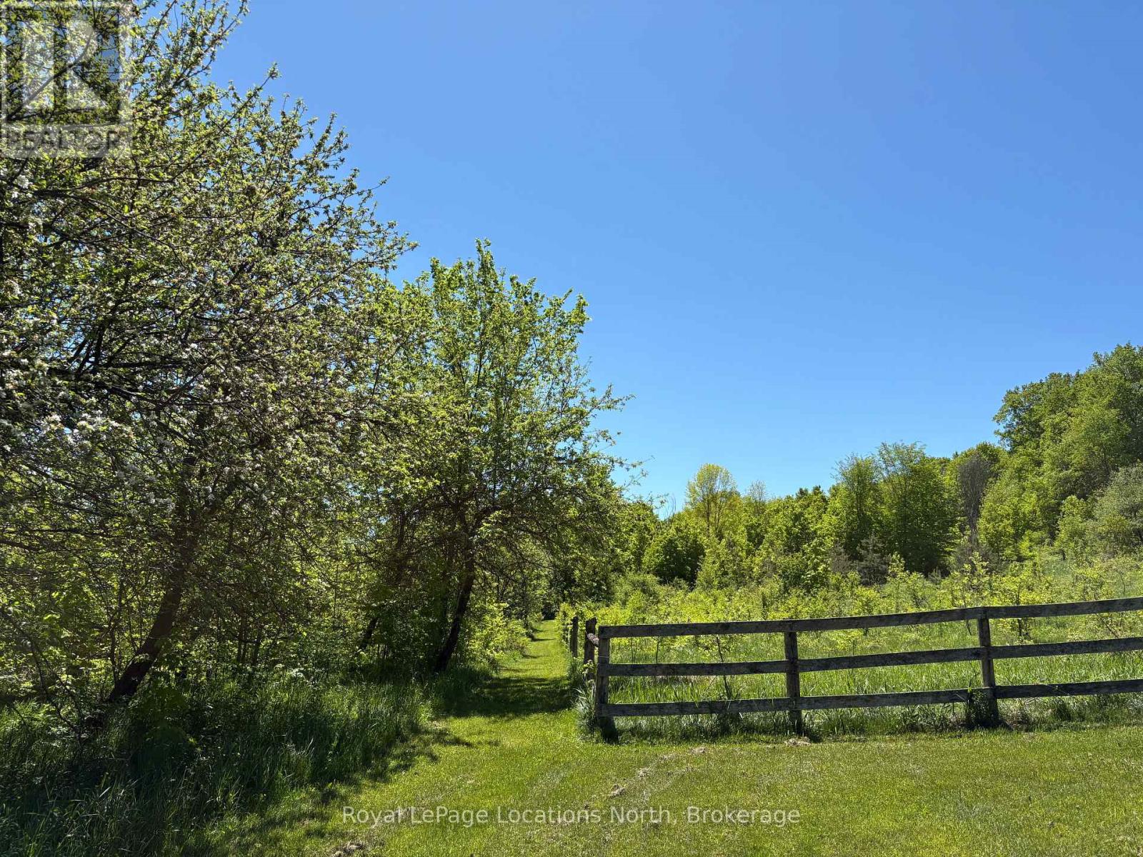 446070 Johnston's Side Road, Grey Highlands, Ontario  N0C 1E0 - Photo 5 - X13109696