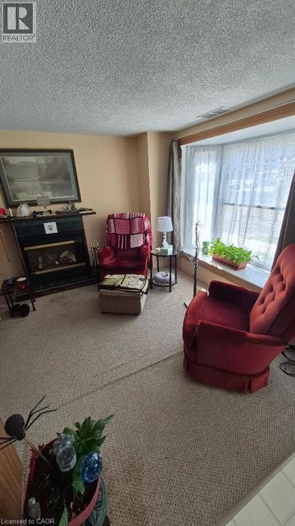 257 Cedar Street, Simcoe, Ontario  N3Y 2H8 - Photo 8 - 40828864