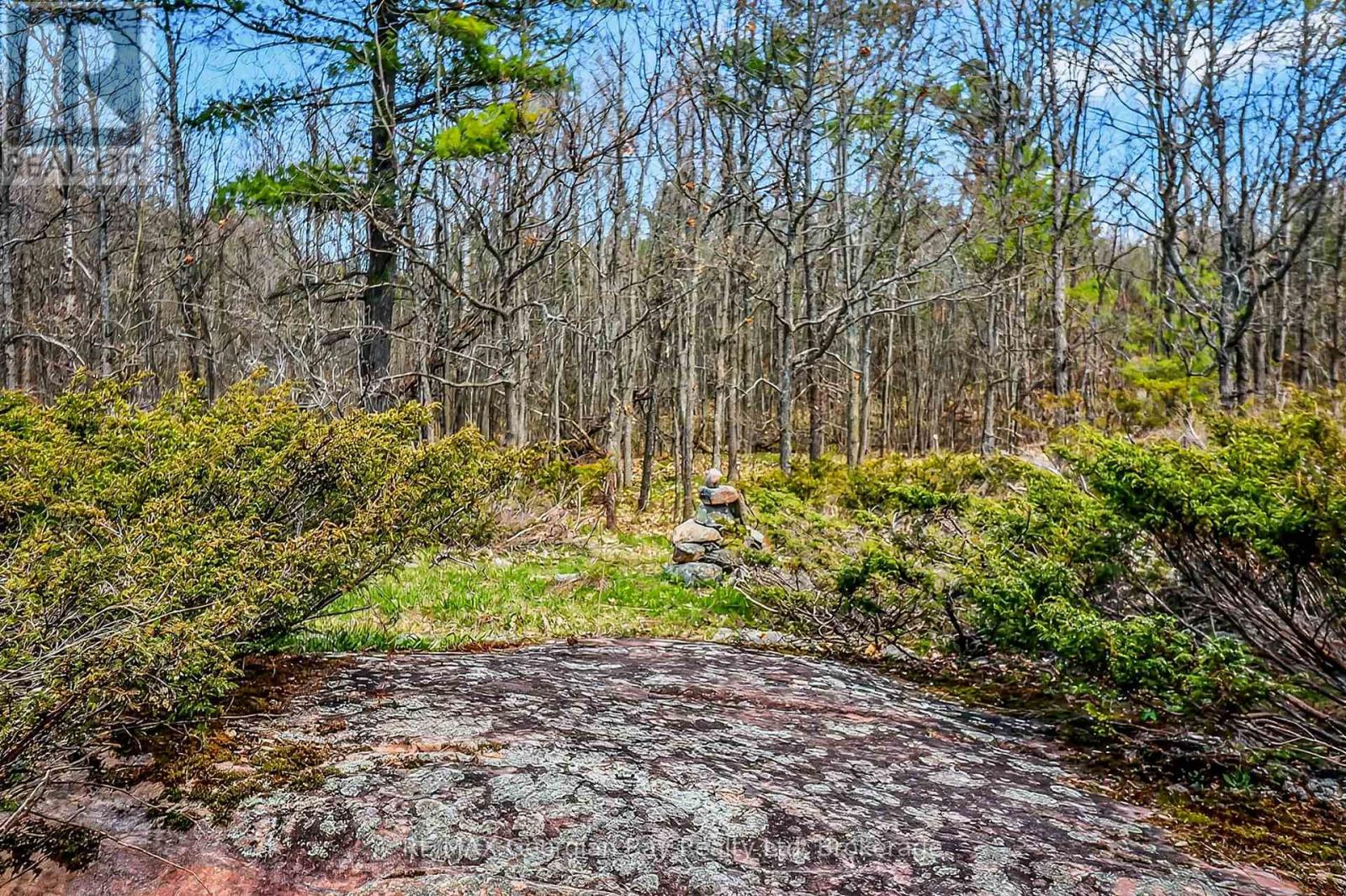 1432 Honey Harbour Road, Georgian Bay, Ontario  L0K 1S0 - Photo 33 - X13112782