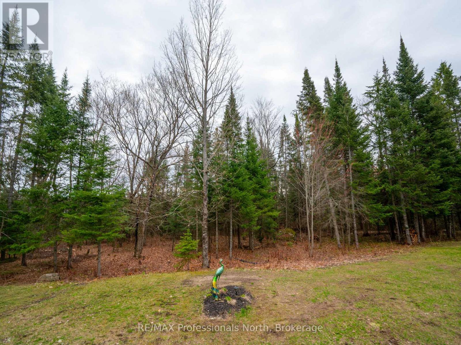 167 Old Government Road, Perry, Ontario  P0A 1J0 - Photo 34 - X13114296