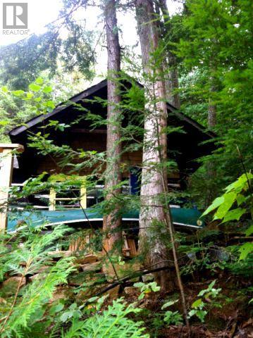 13303 Little Hawk Lake - South Shore, Algonquin Highlands, Ontario  K0M 1S0 - Photo 10 - X13121576