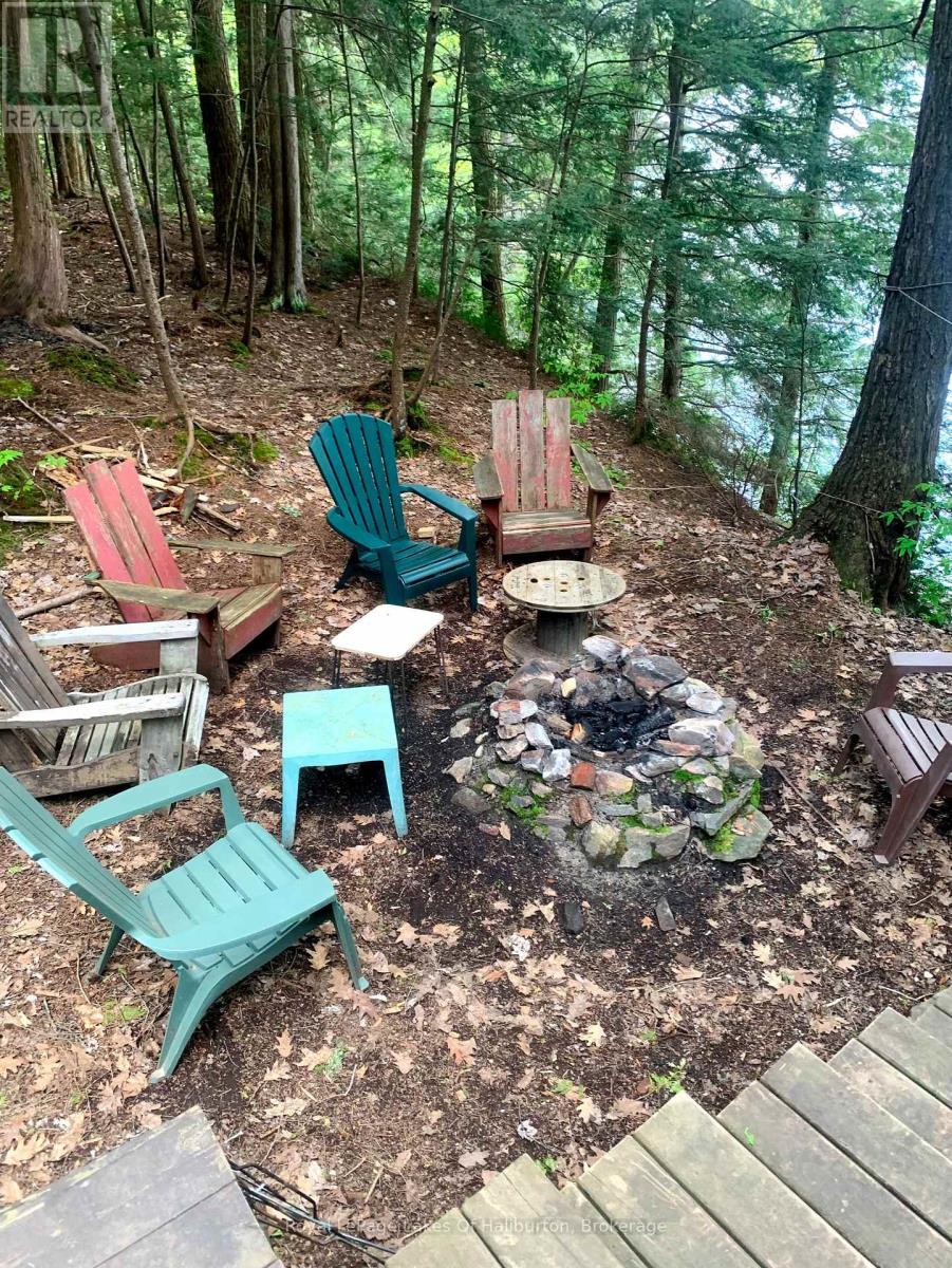 13303 Little Hawk Lake - South Shore, Algonquin Highlands, Ontario  K0M 1S0 - Photo 13 - X13121576