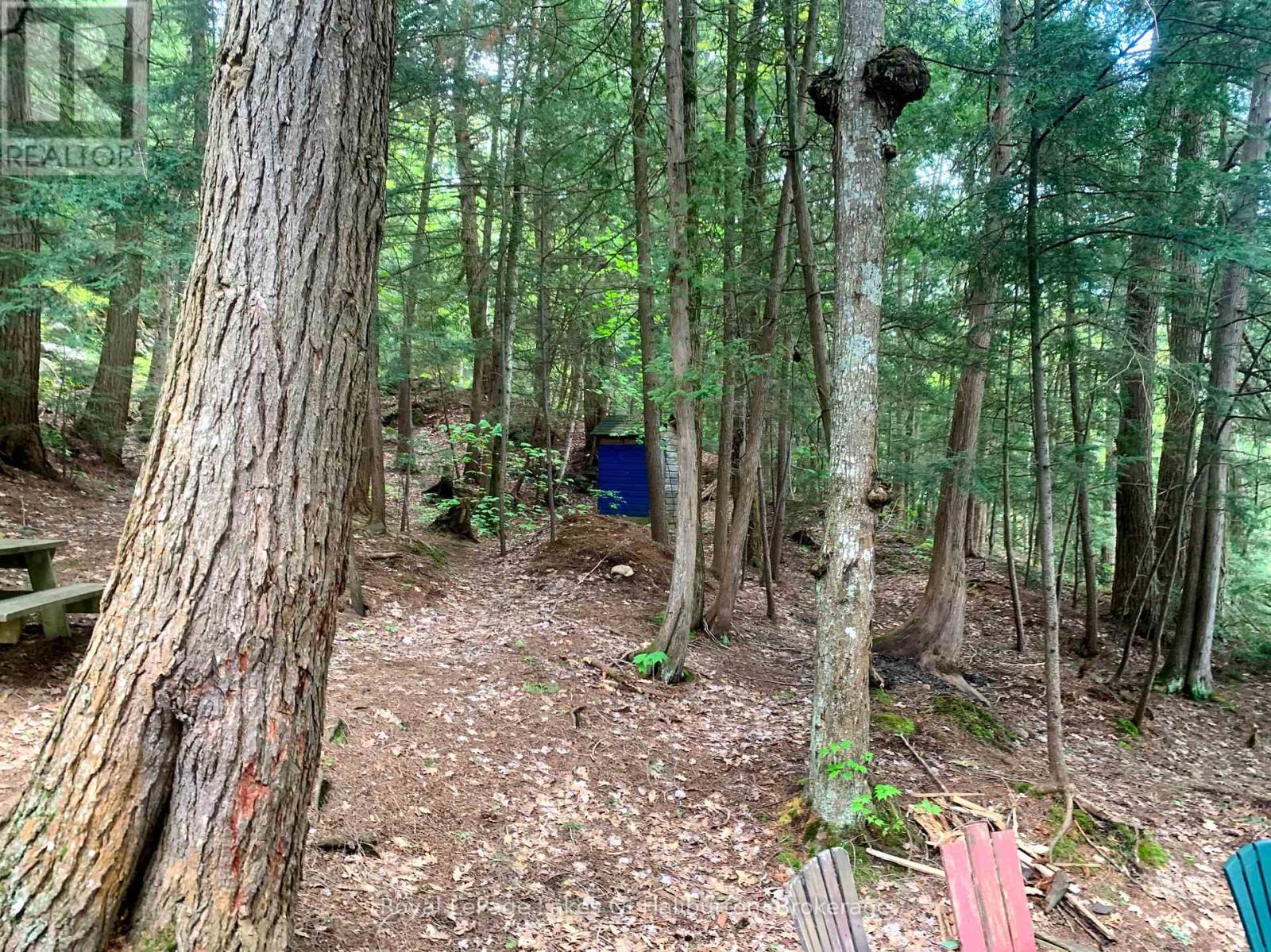 13303 Little Hawk Lake - South Shore, Algonquin Highlands, Ontario  K0M 1S0 - Photo 44 - X13121576