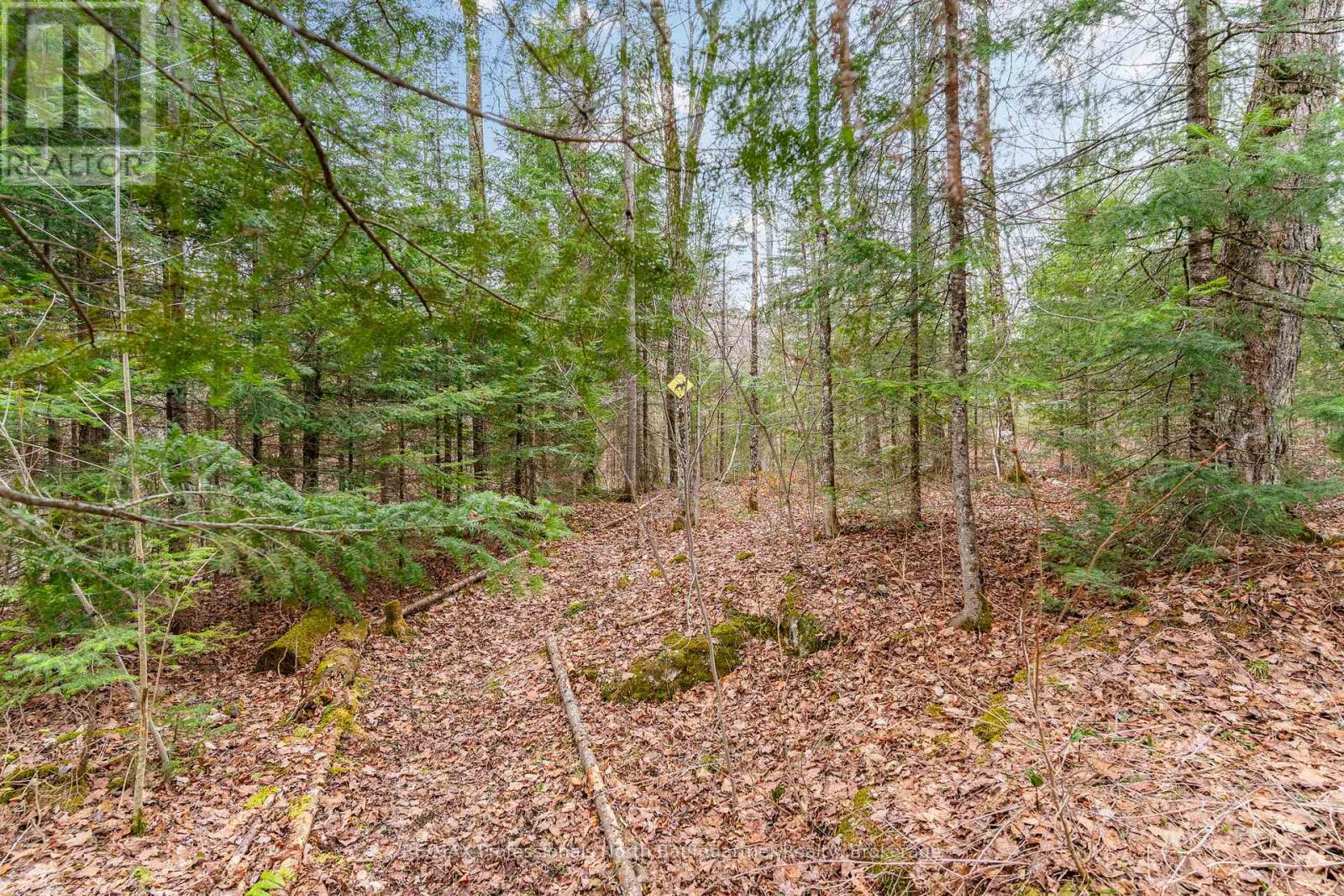 2041 Glamor Lake Road, Highlands East, Ontario  K0M 1R0 - Photo 35 - X13122288
