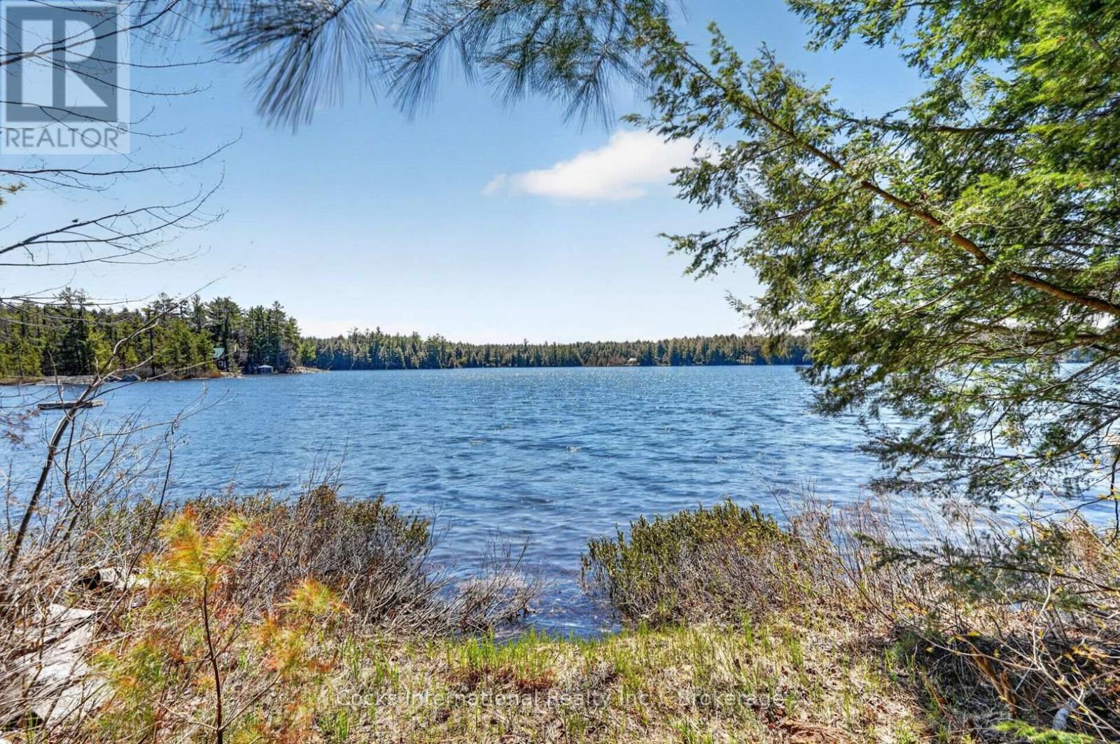 1165 Spring Lake Road, Bracebridge, Ontario  P1L 1X1 - Photo 10 - X13123512