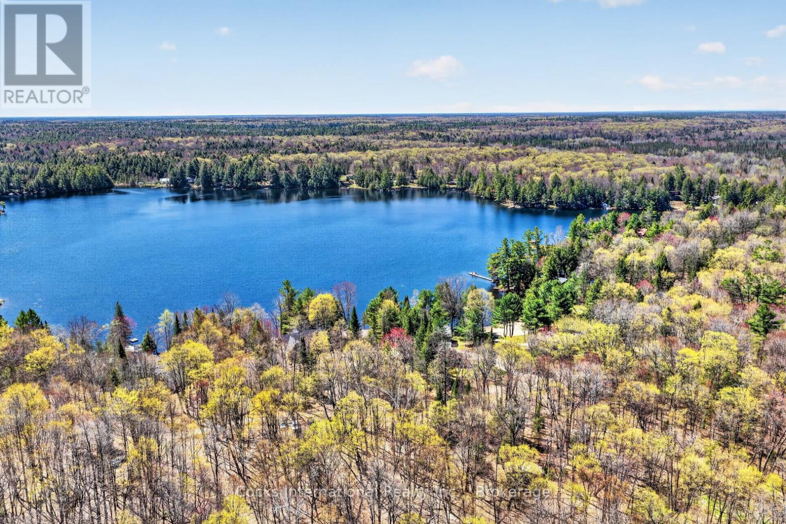 1165 Spring Lake Road, Bracebridge, Ontario  P1L 1X1 - Photo 12 - X13123512