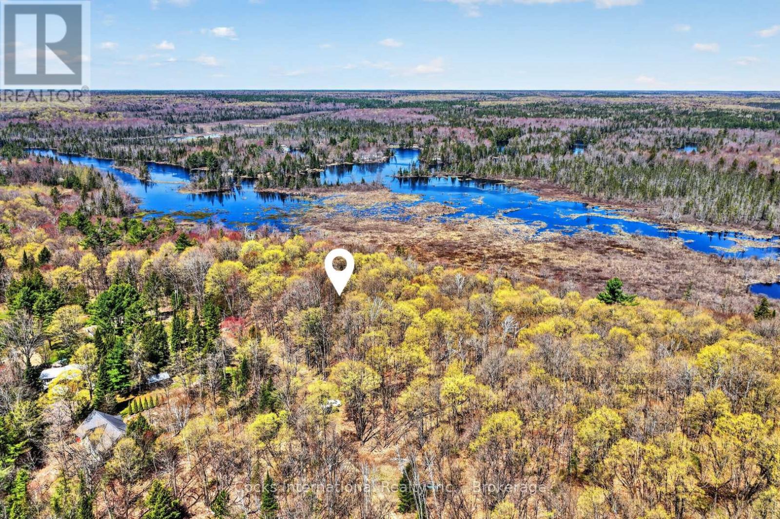 1165 Spring Lake Road, Bracebridge, Ontario  P1L 1X1 - Photo 13 - X13123512