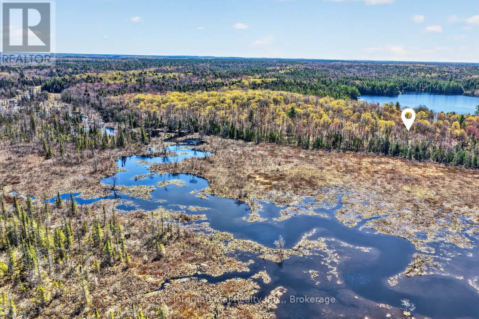 1165 Spring Lake Road, Bracebridge, Ontario  P1L 1X1 - Photo 14 - X13123512