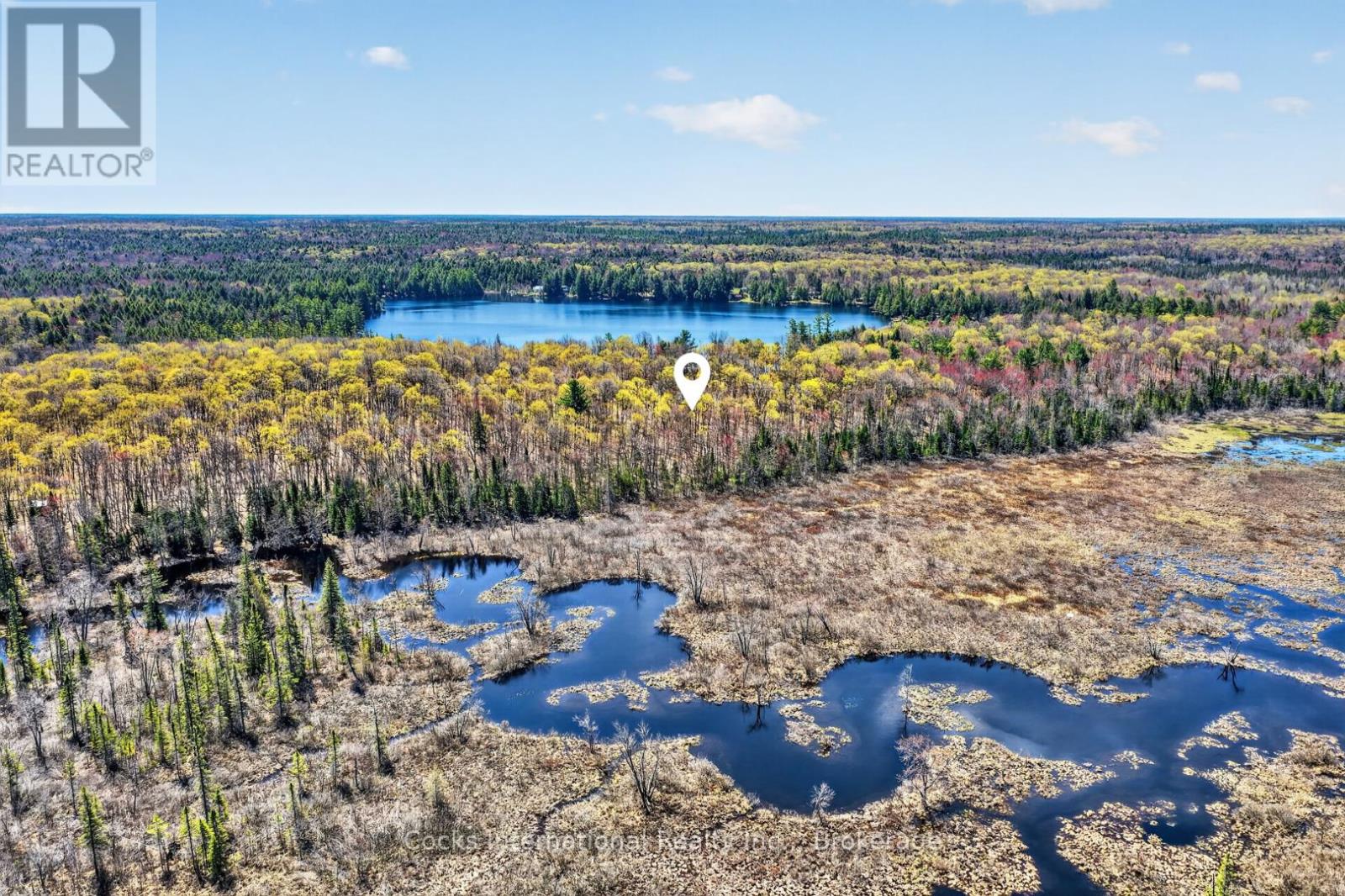 1165 Spring Lake Road, Bracebridge, Ontario  P1L 1X1 - Photo 15 - X13123512