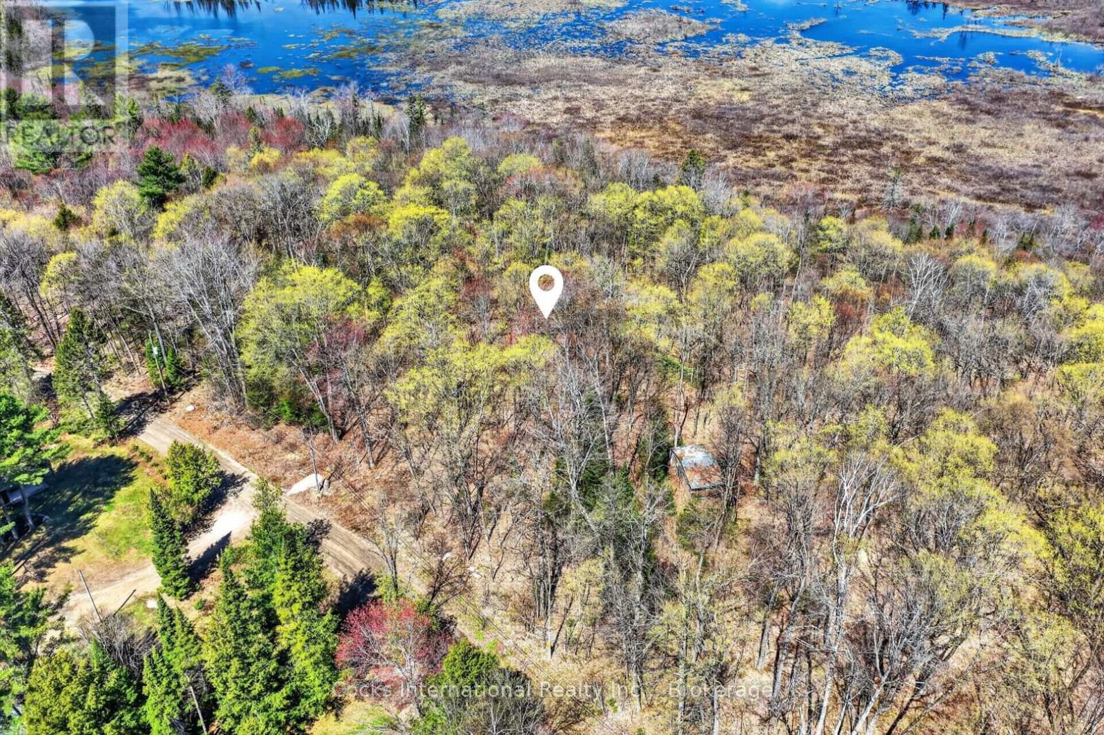 1165 Spring Lake Road, Bracebridge, Ontario  P1L 1X1 - Photo 17 - X13123512
