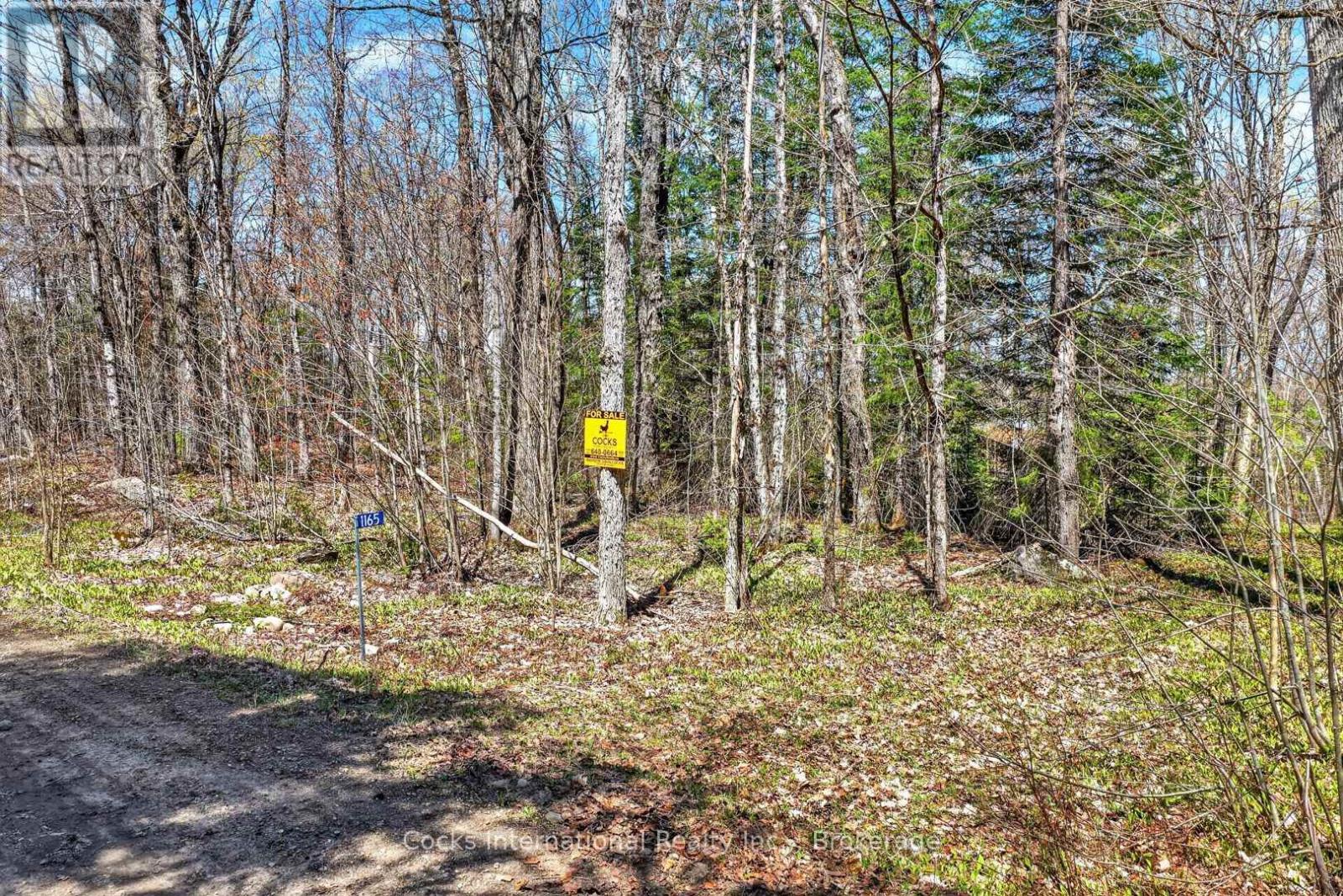 1165 Spring Lake Road, Bracebridge, Ontario  P1L 1X1 - Photo 19 - X13123512