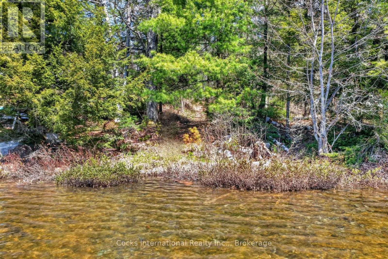 1165 Spring Lake Road, Bracebridge, Ontario  P1L 1X1 - Photo 2 - X13123512