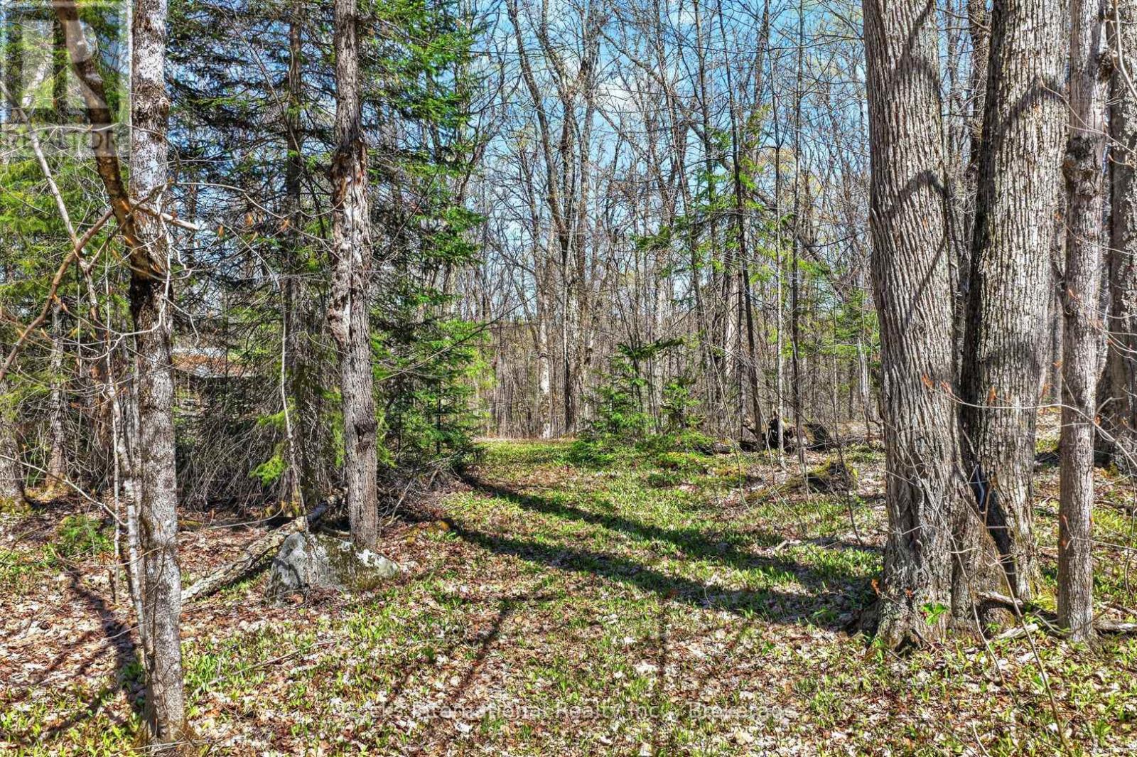 1165 Spring Lake Road, Bracebridge, Ontario  P1L 1X1 - Photo 20 - X13123512