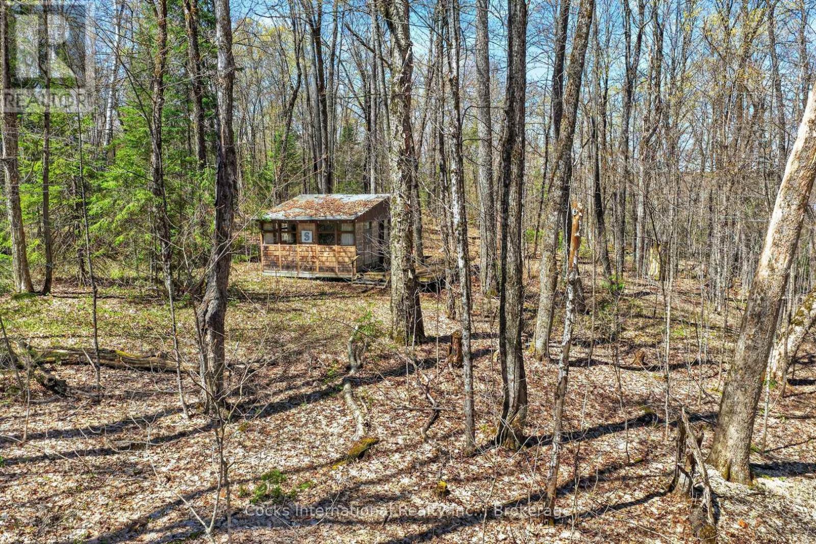 1165 Spring Lake Road, Bracebridge, Ontario  P1L 1X1 - Photo 23 - X13123512
